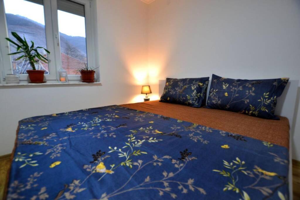Mokrijevo View Apartments Belasica מראה חיצוני תמונה