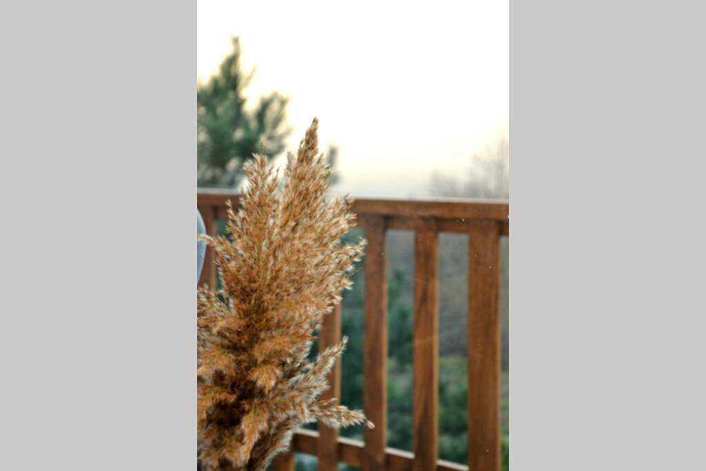 Mokrijevo View Apartments Belasica מראה חיצוני תמונה